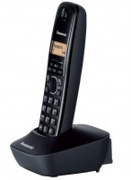 Panasonic KX-TG1611 1